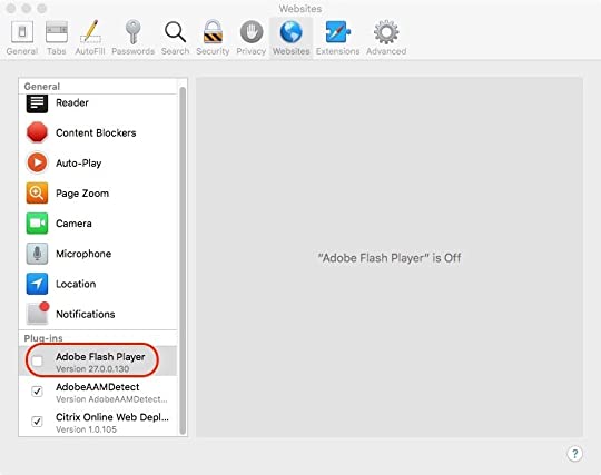 current version of flash player for mac